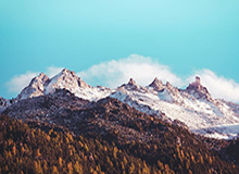 jiuyou入口：一次把日常带入无限可能的旅程